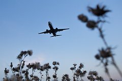 У 13-летней россиянки кожа стала отходить клочьями из-за ожога на борту самолета