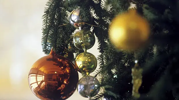 V simferopole mozhno budet sdat novogodnie jolki na pererabotku 72711e0.webp