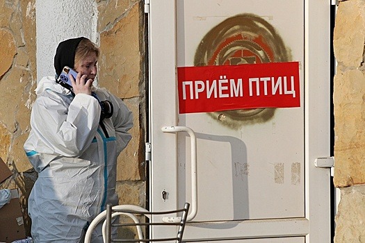 Volontery anapy gotovjatsja k novomu massovomu naplyvu postradavshih ptic d0adc0e.jpg