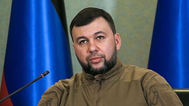 Pushilin uvolil glavu mintruda dnr iz za zaderzhki vyplaty posobij bd93748.jpg