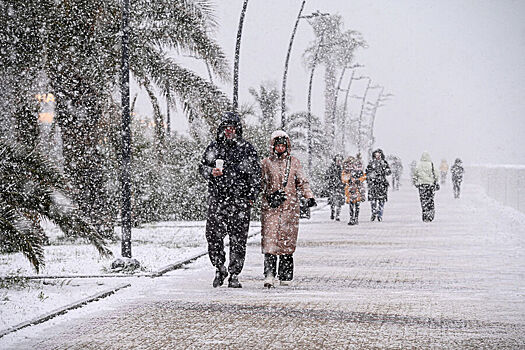 Sochi zamelo snegom 73dba95.jpg