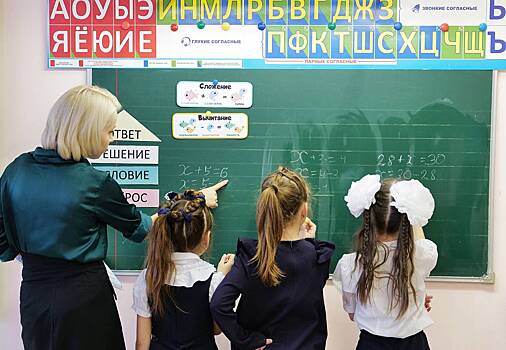 V rossii uchitelej zahoteli objazat po novomu podtverzhdat profprigodnost 6631798.jpg