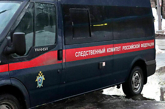 V sk oprovergli provedenie rassledovanija gibeli lermontova 515f586.jpg