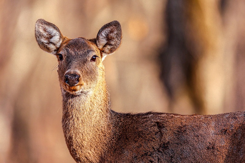 Это вам не Бали: опубликованы невероятные снимки из Приморья