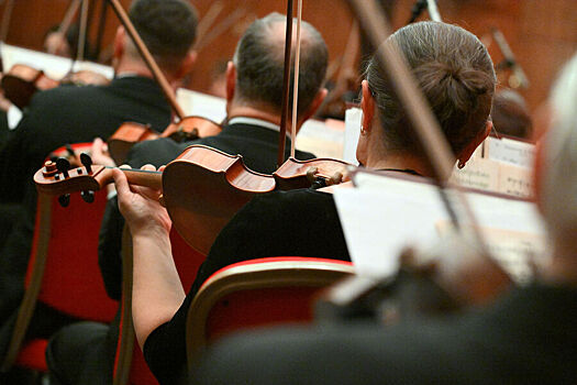 Direktor rossijskogo orkestra zastrjavshego v irane vyskazalsja o situacii 6b71f54.jpg
