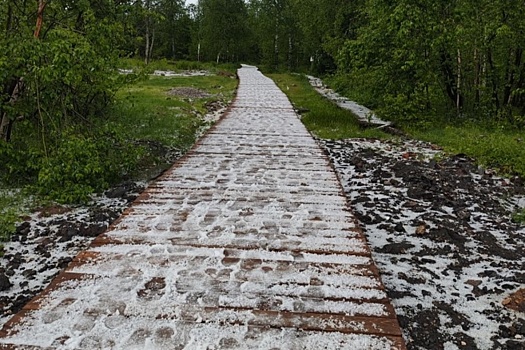 В северных районах Пермского края выпал снег