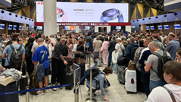 Nikitin poobeshhal razobratsja s transportnym kollapsom v aeroportah 1a90527.jpg