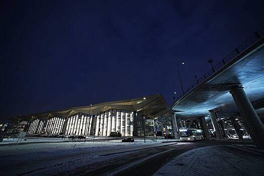 Prohod v terminal aeroporta pulkovo vremenno ogranichili 1a49de1.jpg