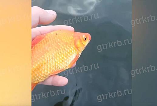 Rossijskij rybak pojmal prinosjashhuju udachu rybu 7e9a327.jpg