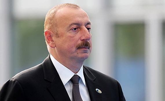 Syna alieva ulichili v neuplate nalogov za roskoshnyj osobnjak v podmoskove d3a7205.jpg