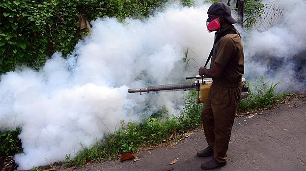 Rospotrebnadzor prokommentiroval soobshhenija o vspyshke lihoradki chikungunja v kitae f9ea4a9.jpg